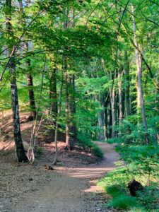 wandelarrangement-hotel-op-de-boud